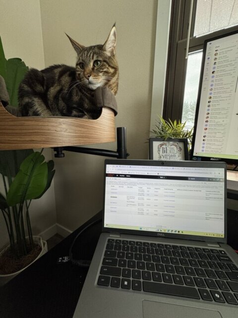 Desk Nest
