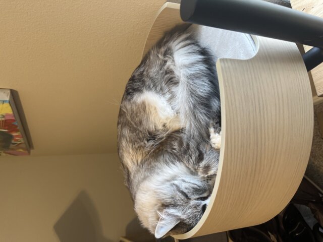 Desk Nest