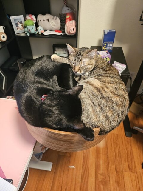 Desk Nest