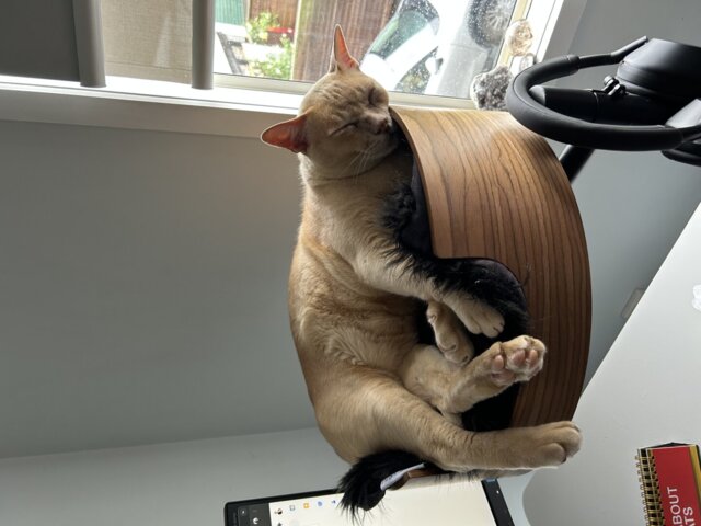 Desk Nest