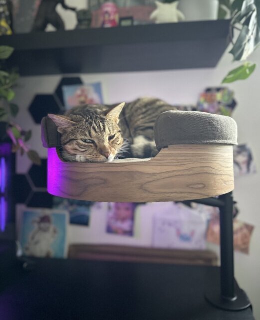 Desk Nest