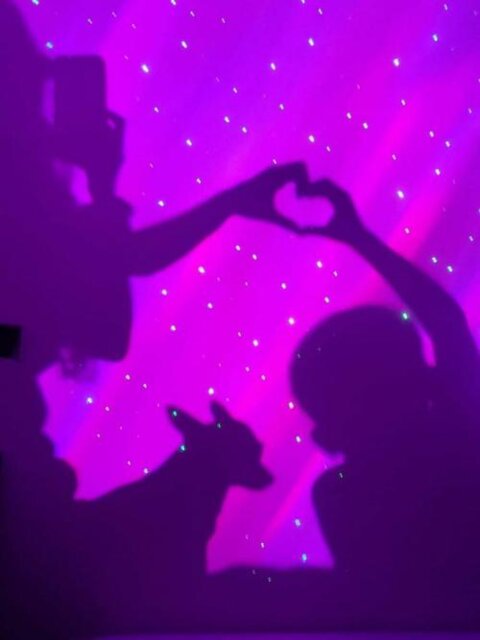 GALAXY Light Projector