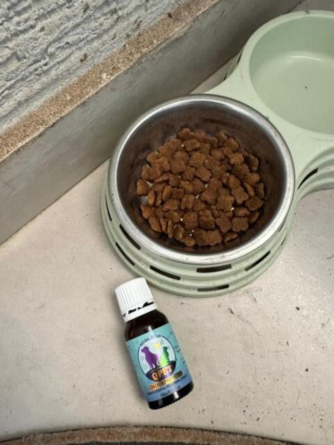 QPET™ – Advanced Natural Health Supplement for Pets