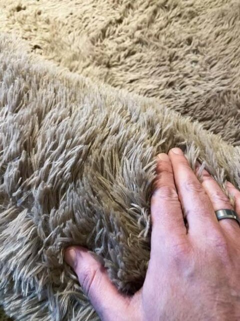 Giant Human Dog Bed