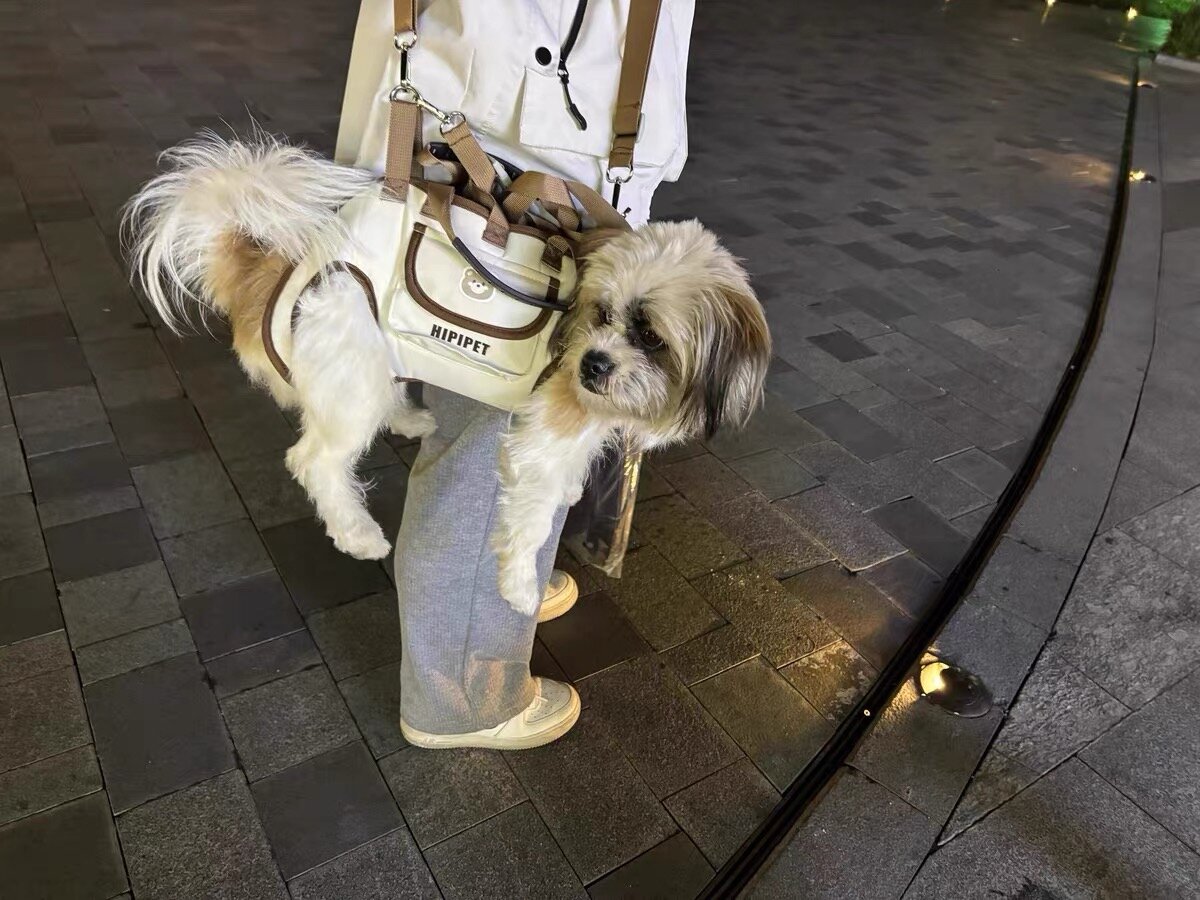 Pet Shoulder Carrier
