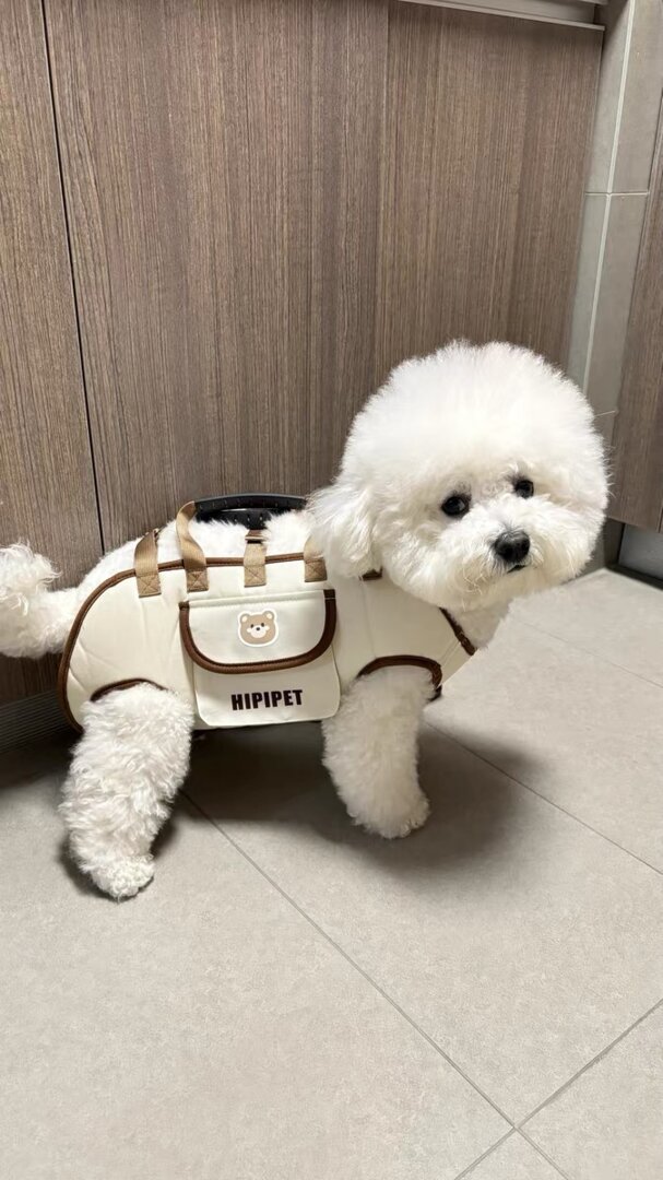 Pet Shoulder Carrier