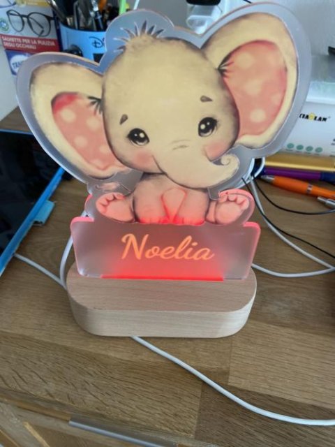 Personalisiertes Tiertraumlichtle