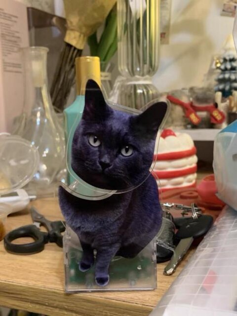 🐶🐱Personalisierte Wackelkopf-Ornamente💝Geschenke für Tierliebhaber