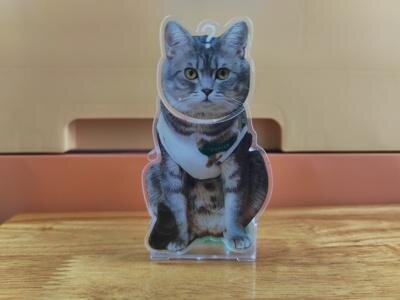 🐶🐱Personalisierte Wackelkopf-Ornamente💝Geschenke für Tierliebhaber