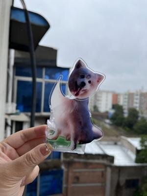 🐶🐱Personalisierte Wackelkopf-Ornamente💝Geschenke für Tierliebhaber