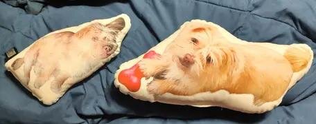 Personalisiertes Haustier-Fotokissen