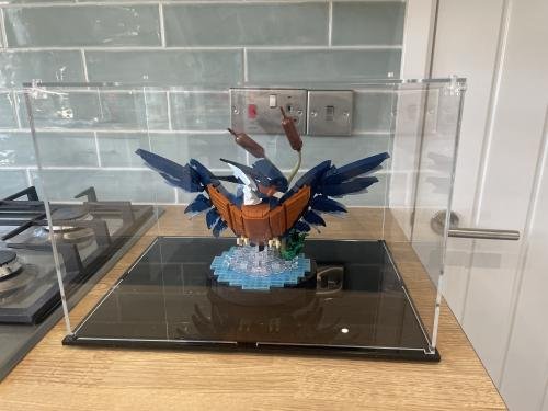 Lego 10331 Kingfisher Bird - Display Case