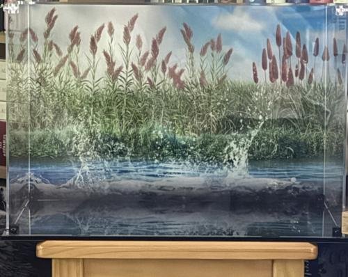 Lego 10331 Kingfisher Bird - Display Case