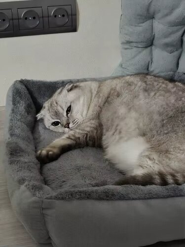 Lit pour chat | Apaisant