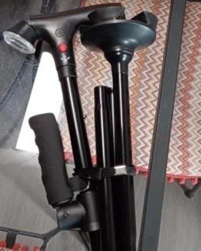Quenzly StandSecure Cane review