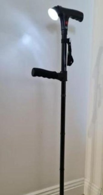 Quenzly StandSecure Cane review