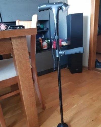 Quenzly StandSecure Cane review