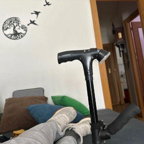 Quenzly StandSecure Cane review