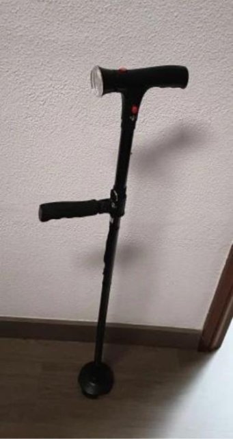 Quenzly StandSecure Cane review