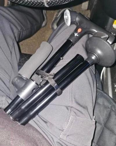 Quenzly StandSecure Cane review