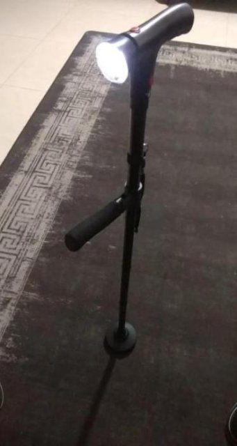 Quenzly StandSecure Cane review