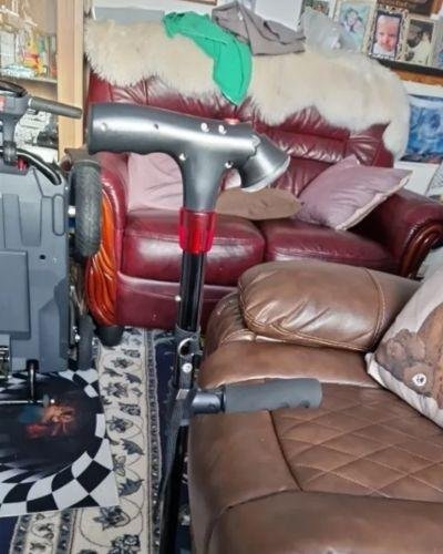 Quenzly StandSecure Cane review