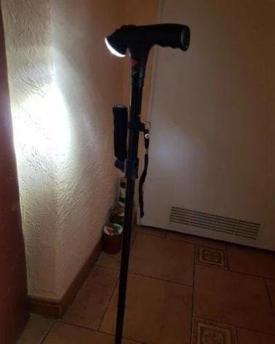 Quenzly StandSecure Cane review