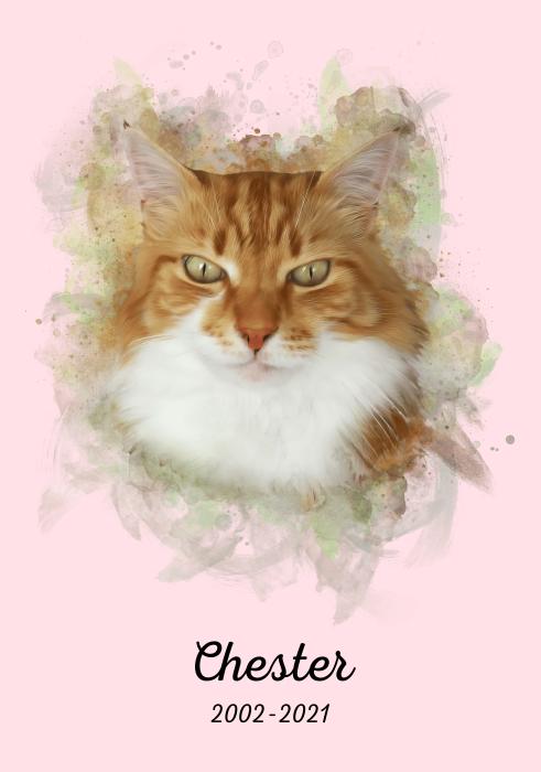Alt image