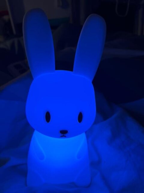 🌟Dreamy Glow Baby Night Light🌙