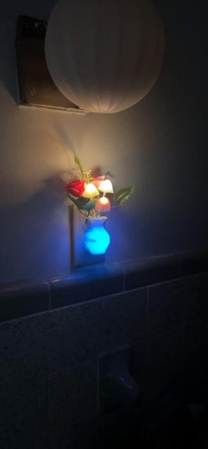 🎁 Flexible Magic Vase with Mushrooms & Rose - Ideal Gift 🎁