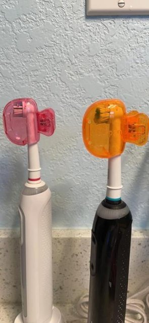 🎒 Tragbare Zahnbürstenschützer: Bunte & hygienische Reisebegleiter 🌟