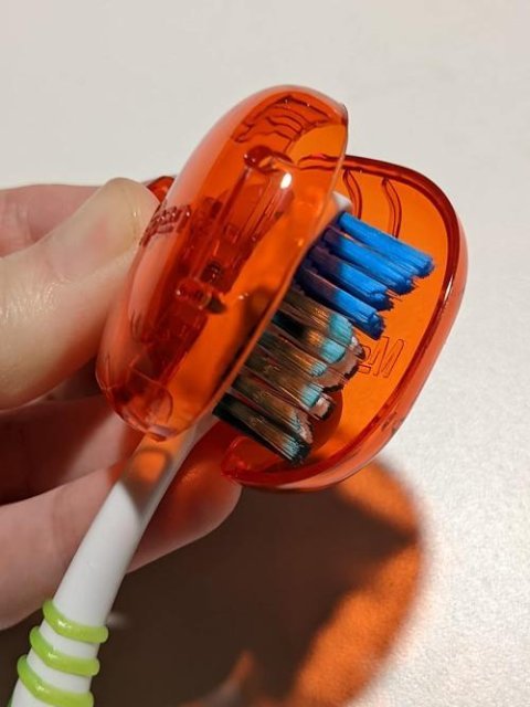 🎒 Protecteurs de brosse à dents portables: Compagnons de voyage colorés et hygiéniques 🌟