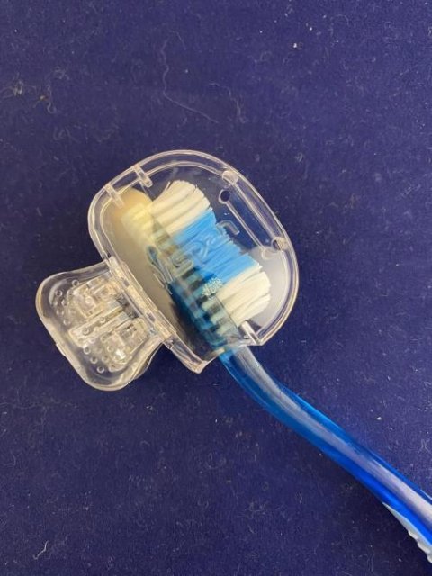 🎒 Protecteurs de brosse à dents portables: Compagnons de voyage colorés et hygiéniques 🌟