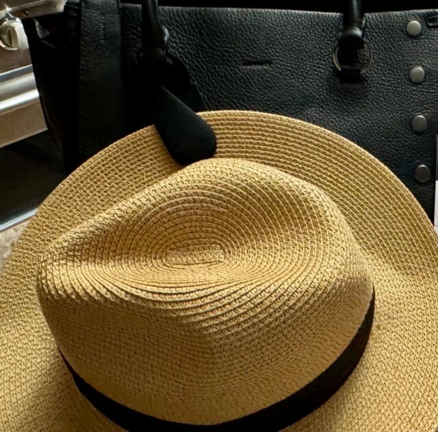 🧲 Strong Magnetic Hat Clip: The Perfect Travel Companion