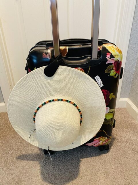 🧲 Strong Magnetic Hat Clip: The Perfect Travel Companion