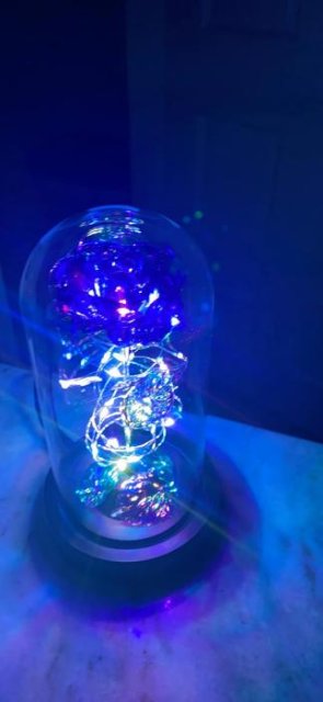 🌹✨ Colorful LED Rose in Glass Dome