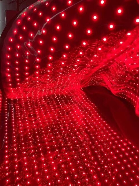 Megelin Red and Infrared Light Therapy Bag