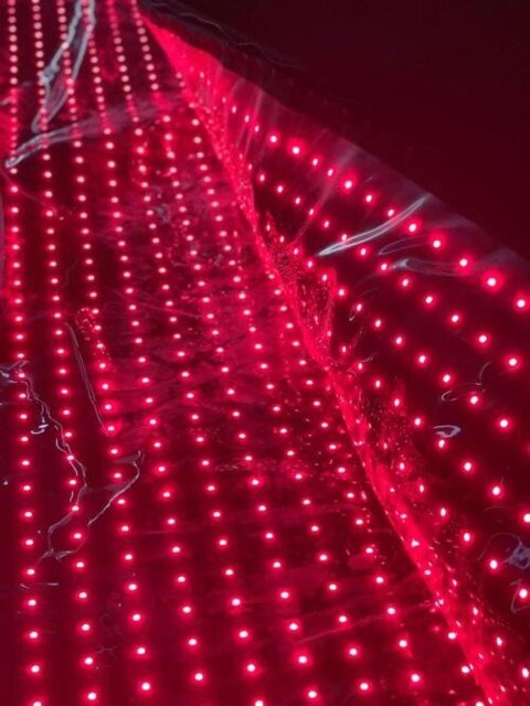 Megelin Red and Infrared Light Therapy Bag