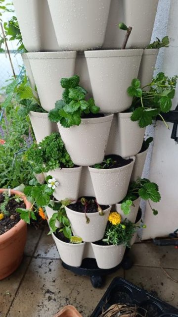 GreenStalk LEAF Vertical Planter - 7 Tier