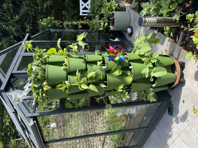 GreenStalk Grow-it-All 6 Tier Mix