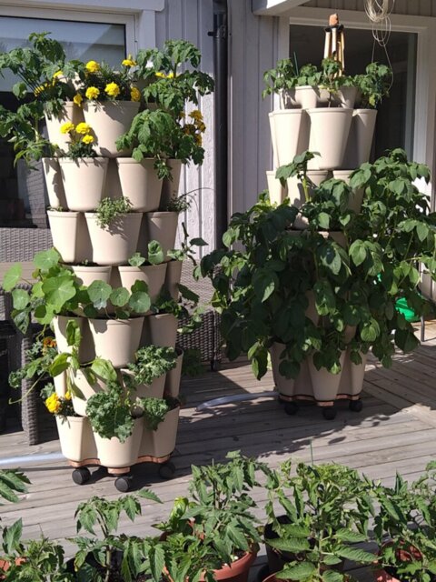 GreenStalk LEAF Vertical Planter - 7 Tier