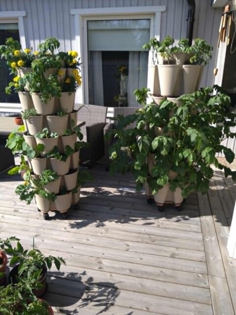 GreenStalk ORIGINAL Vertical Planter - 5 Tier
