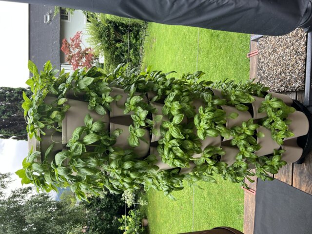 GreenStalk LEAF Vertical Planter - 7 Tier