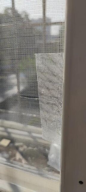 🔥Strong Adhesive Screen Repair Tape