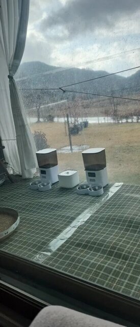 Smart Camera Feeder Dual Bowl