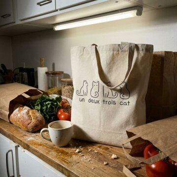 Quinn V.'s tote in the kitchen with the groceries