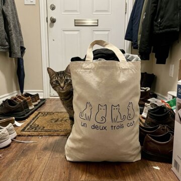 Sienna N.'s tote by the front door, with her cat