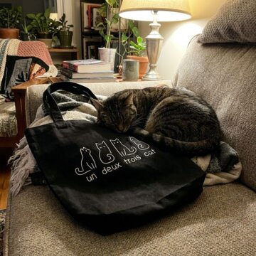 Willow O.'s cat asleep on the black tote