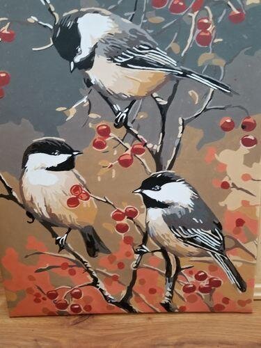 ArtVibe™ DIY Painting By Numbers - Birds On A Branch(16"x20" / 40x50cm)
