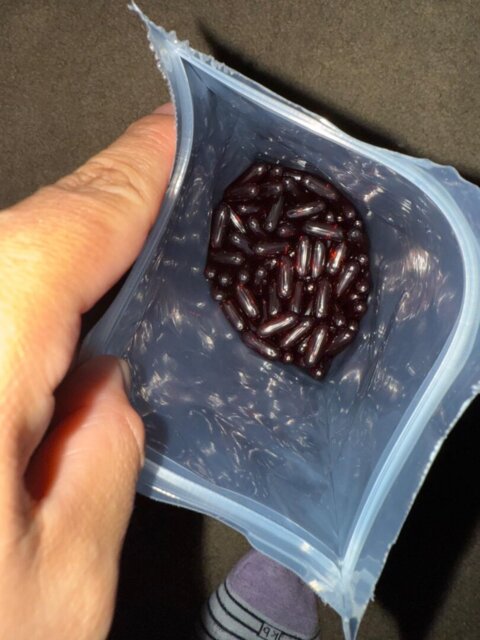 GrowthlyCo Pumpkin Seed Oil Softgels image Pumpkin Seed Oil Softgels